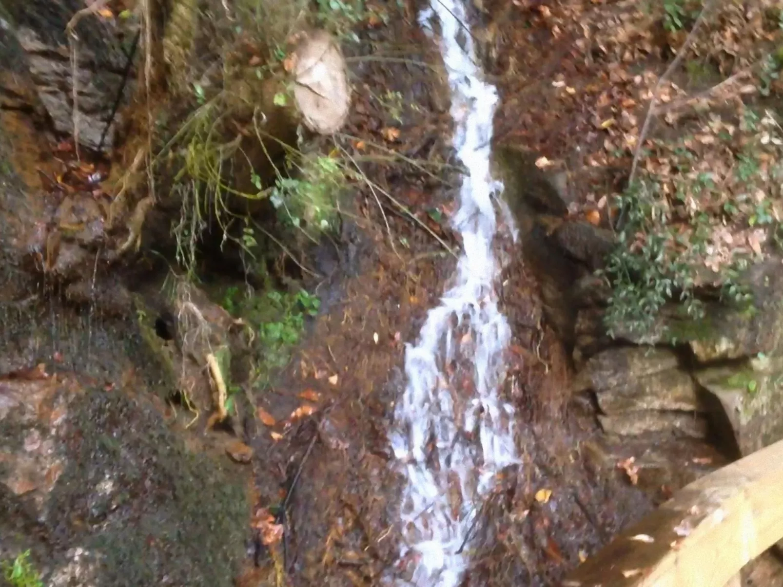 "Großmutters Häuschen" mit überdachter Terrasse-Draußen