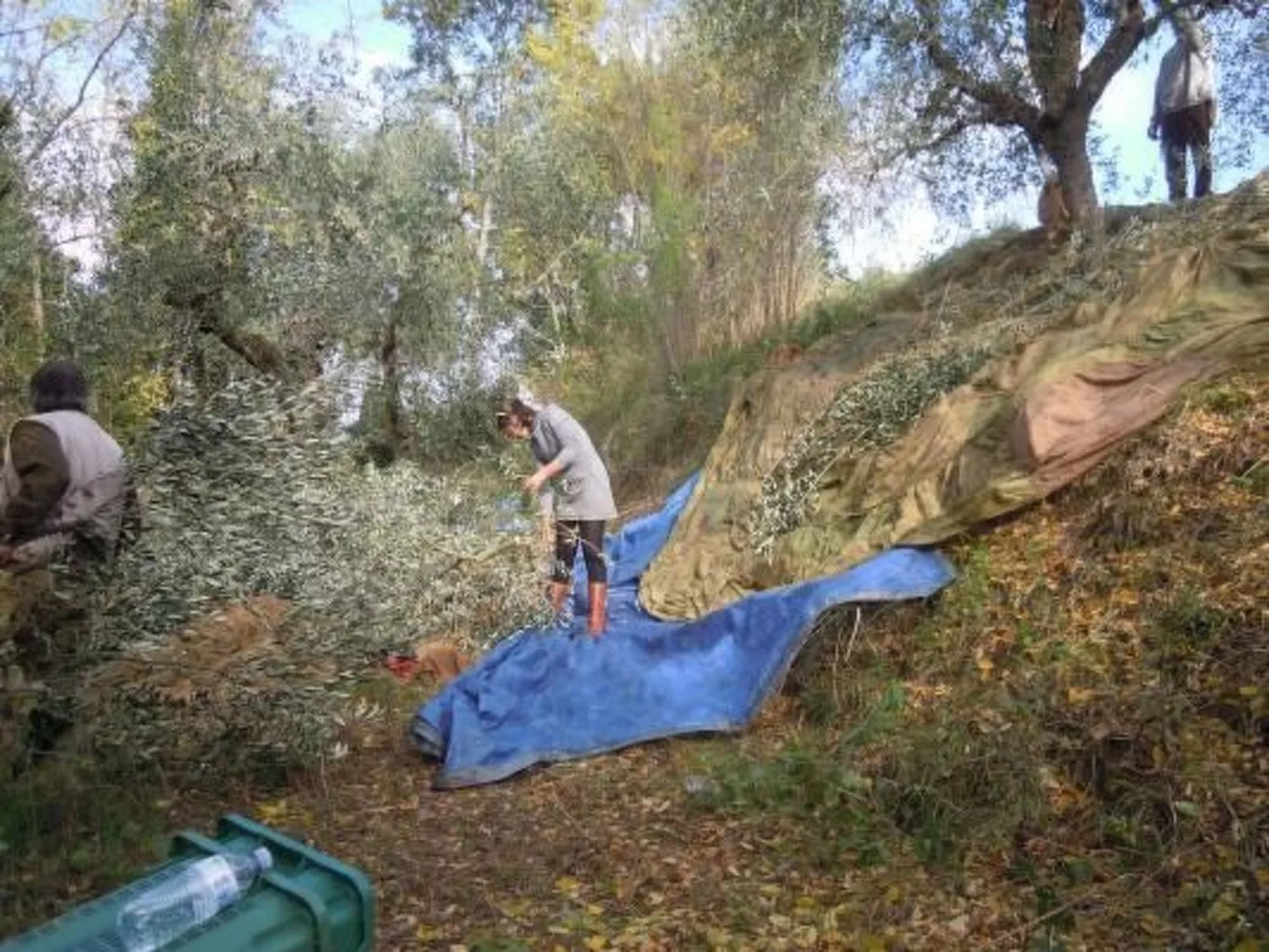 Wohnung in Palaia mit Großem Garten-Image-tags.info