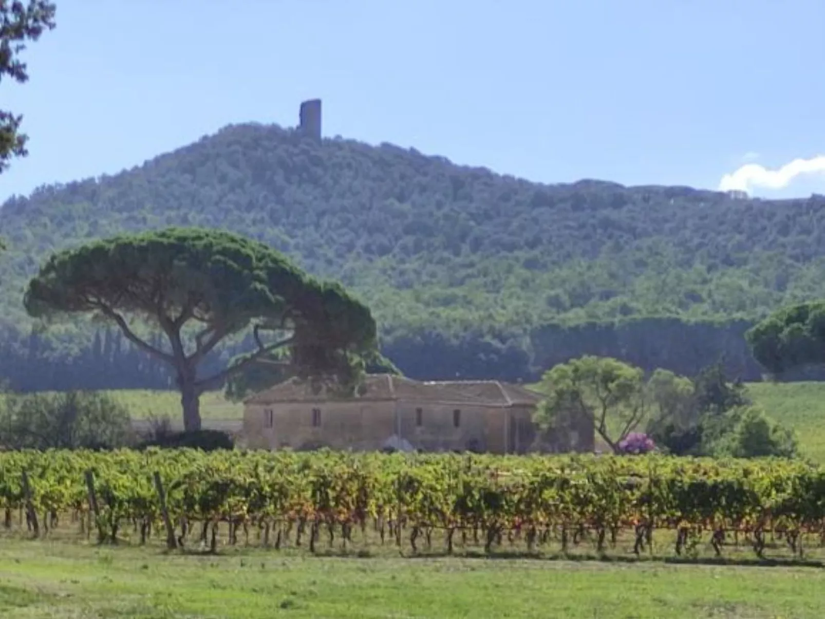 Toskana150-Image-tags.info