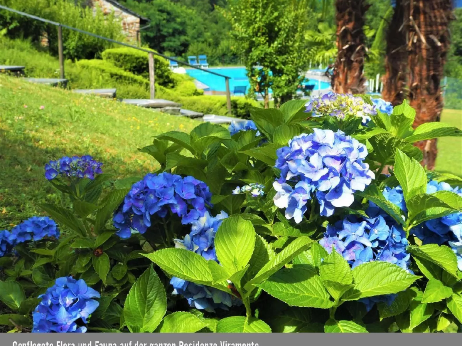 Casa Daniela 38-Draußen