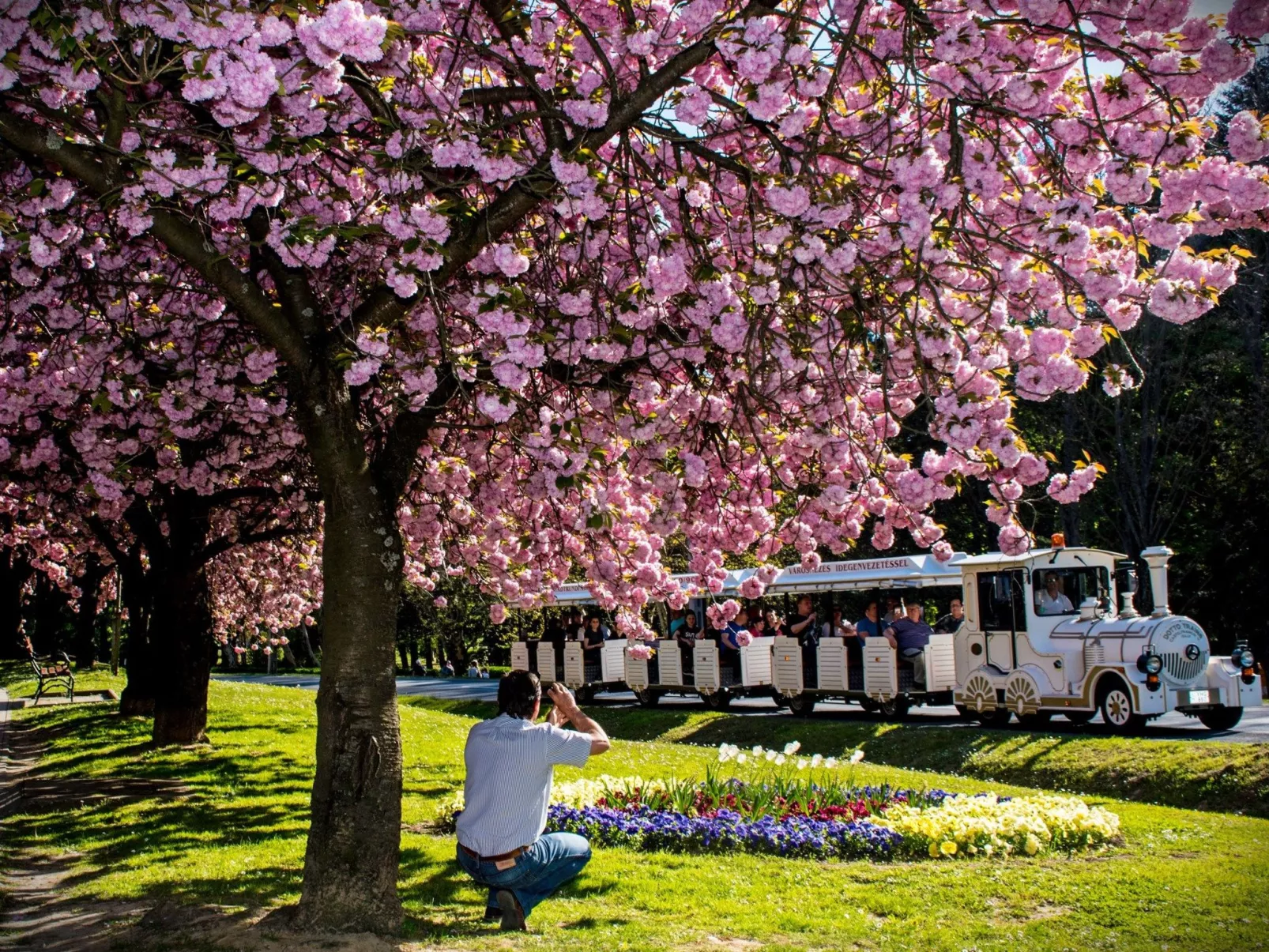 Bequem eingerichtete Wohnung mit großem Garten-Dehors