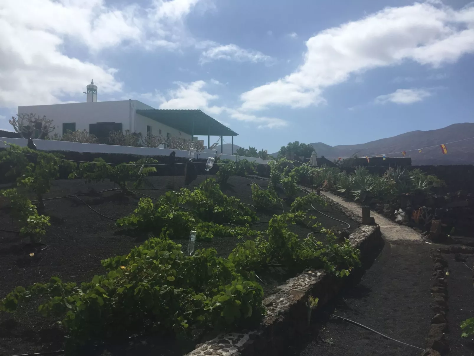 Finca mit Pool und herrlichem Meerblick-Outside