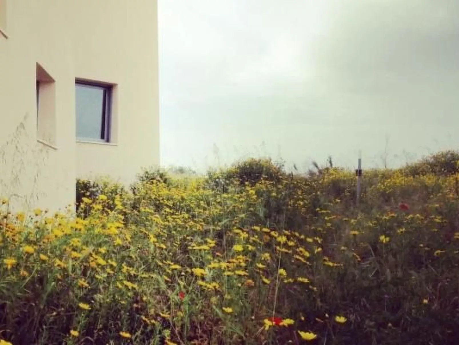 Villa Vendicari Junior-Image-tags.info