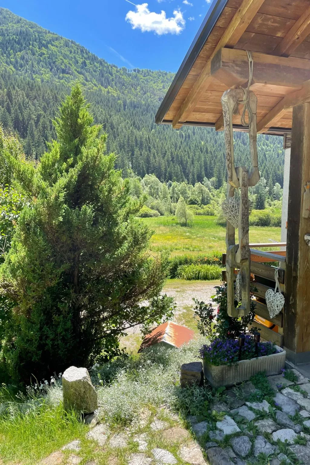 Gesegnet wie Frösche auf einem Seerosenblatt-Draußen