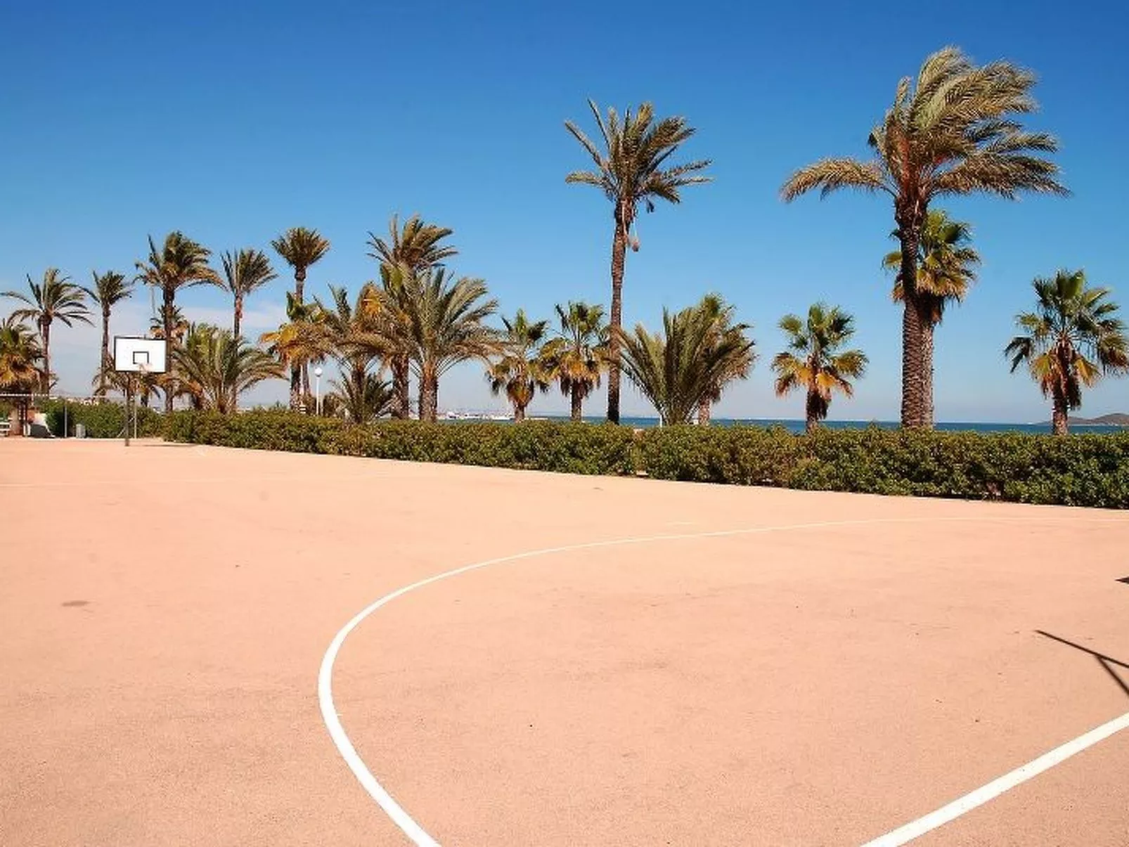 Studio-Appartement mit Terrasse-Image-tags.info