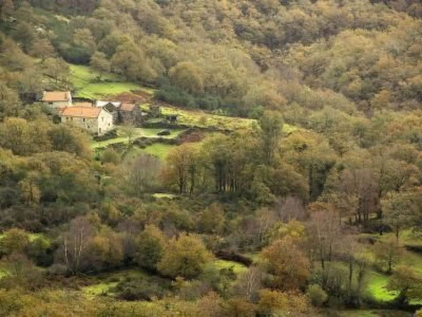 Apartamento 'A Solaina' mit Terrasse-Image-tags.info