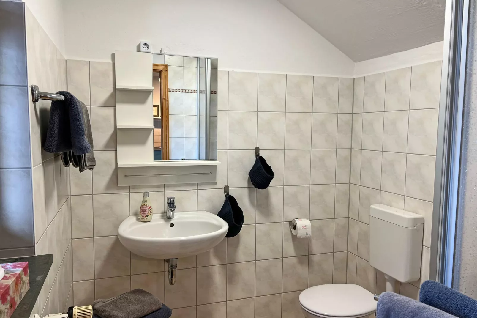 Die Familien Wohnung Wollin-Badezimmer