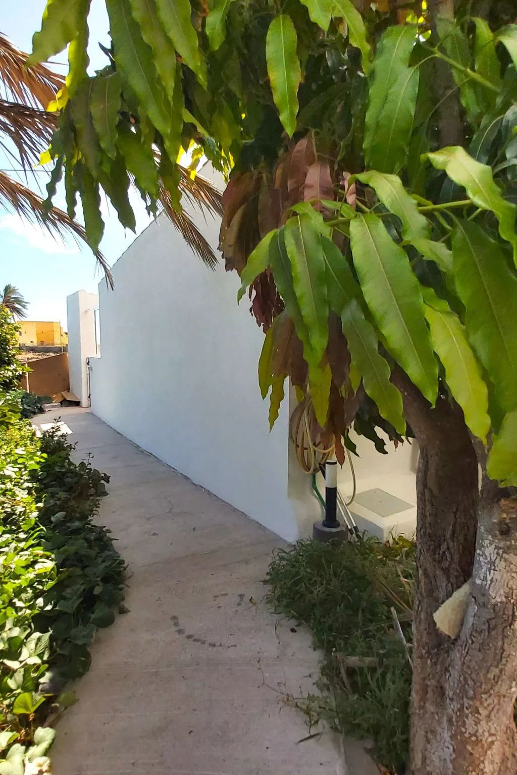 Finca Villa Clara 4-Outside