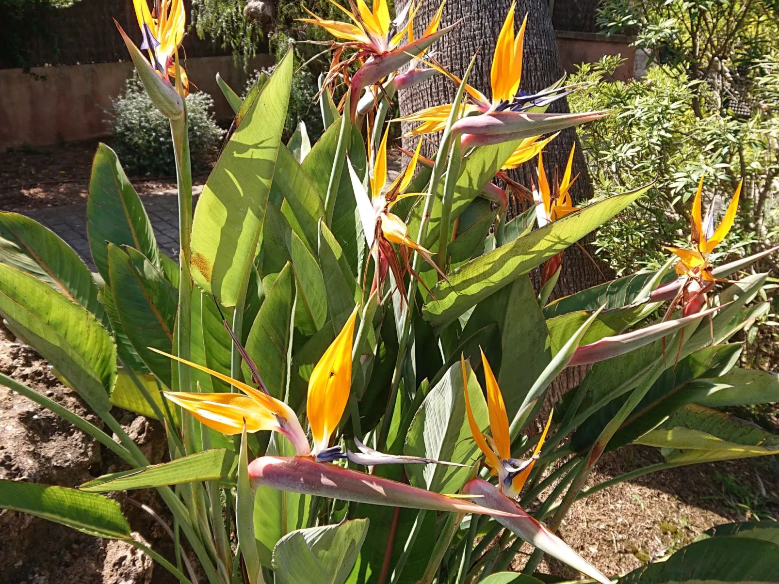 Villa Vista Verde mit Pool und Garten-Draußen