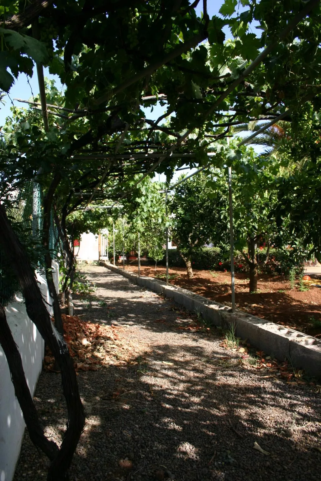 Typisch kanarische Finca Elena mit eigenem Pool-Draußen