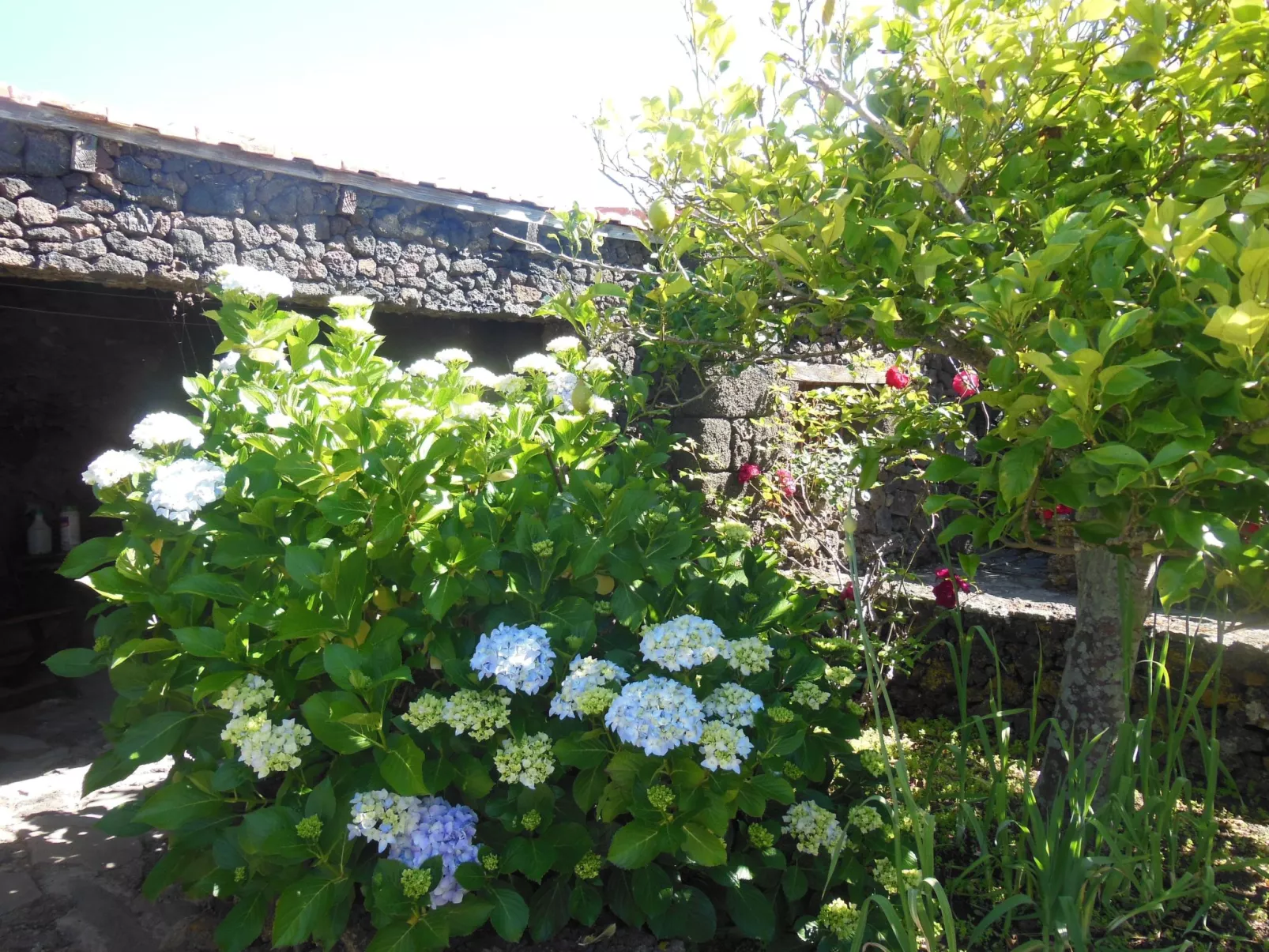 Traditionelles kanarisches Landhaus-Outside