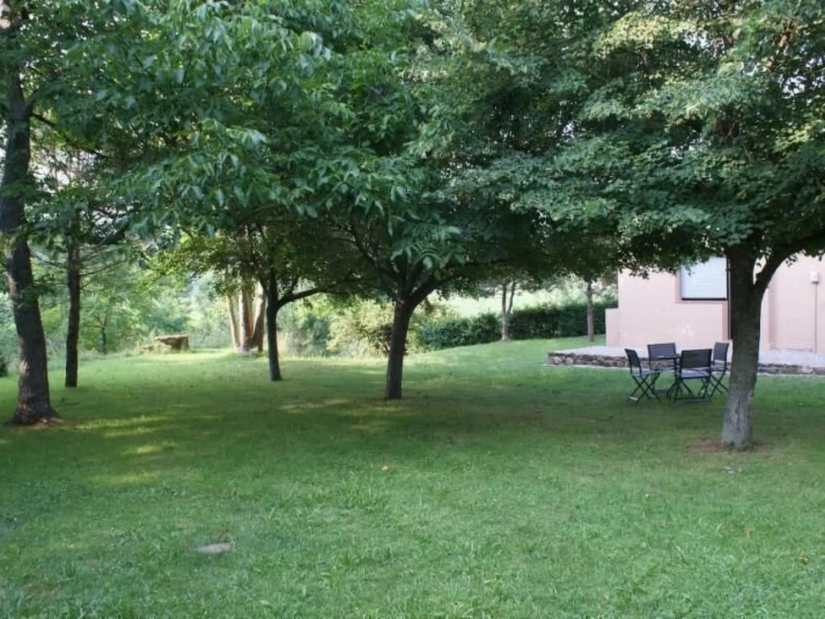 El Paller-Image-tags.info