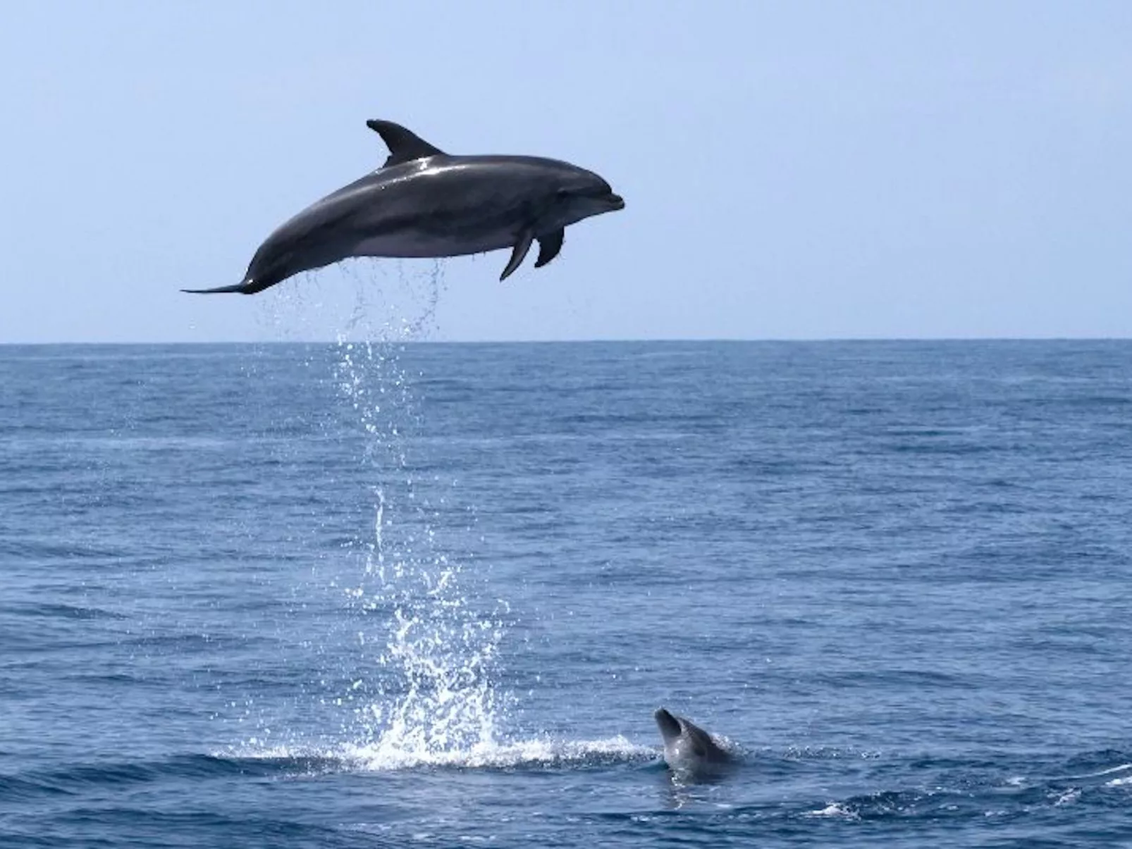 Historische Strandvilla-Draußen