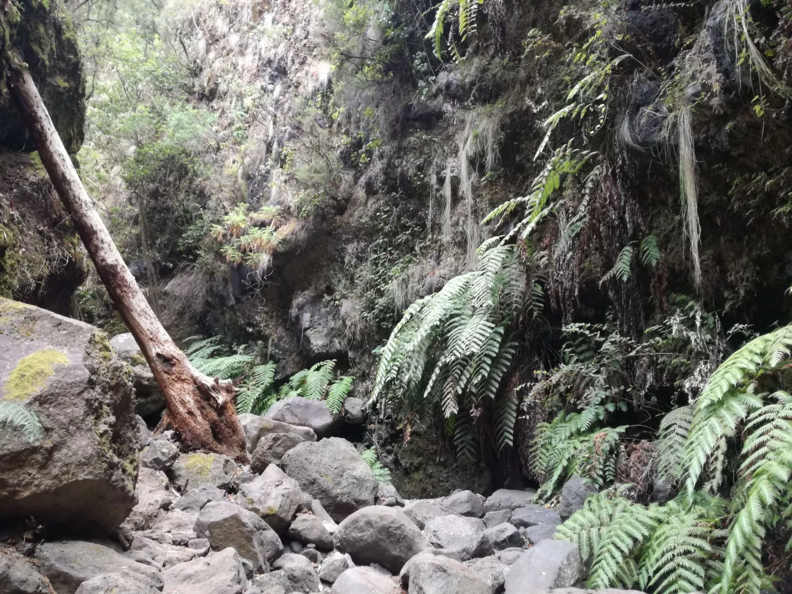 Haus La Majada-Dehors