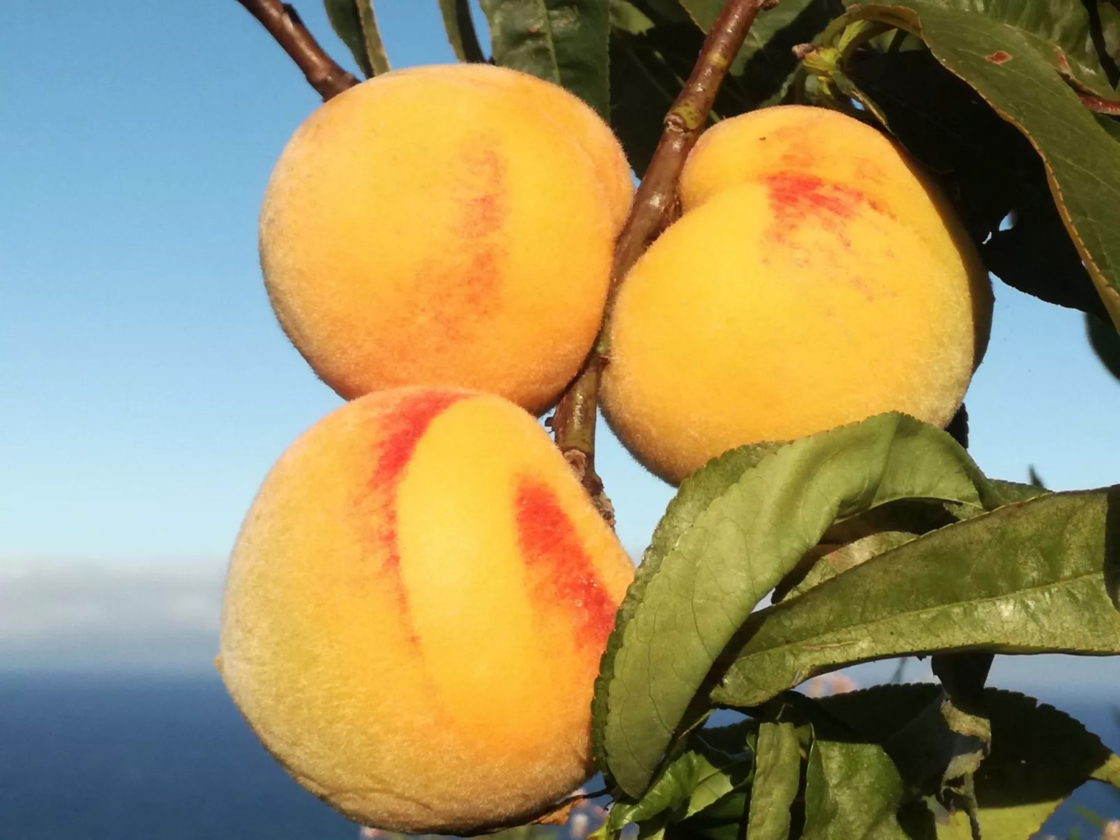 In Monte Breñas mit Grill, Terrasse und Garten-Outside