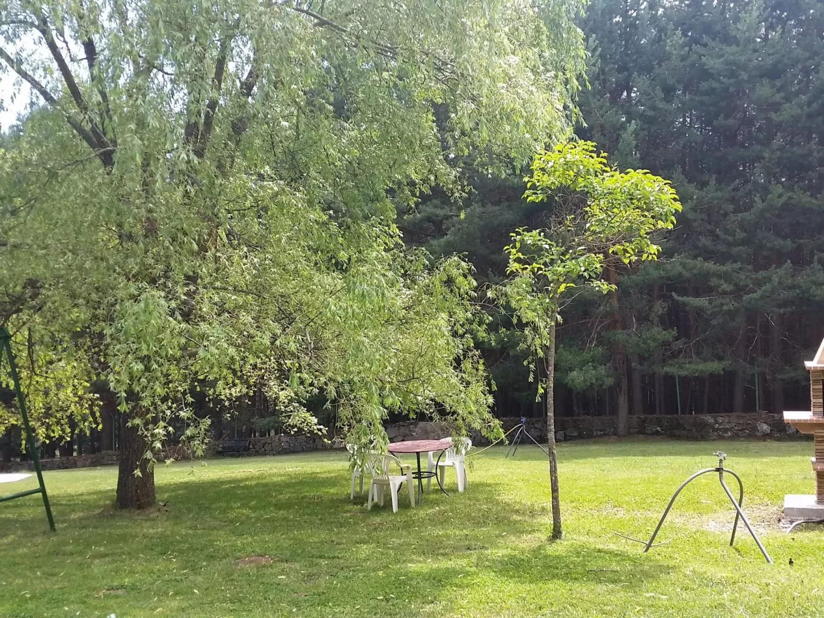 Mitten in der Natur-Image-tags.info