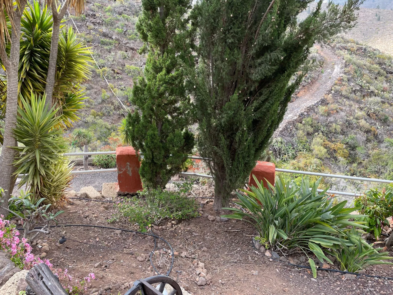 La Paloma mit gemeinschaftlichem Wellnessbereich-Outside