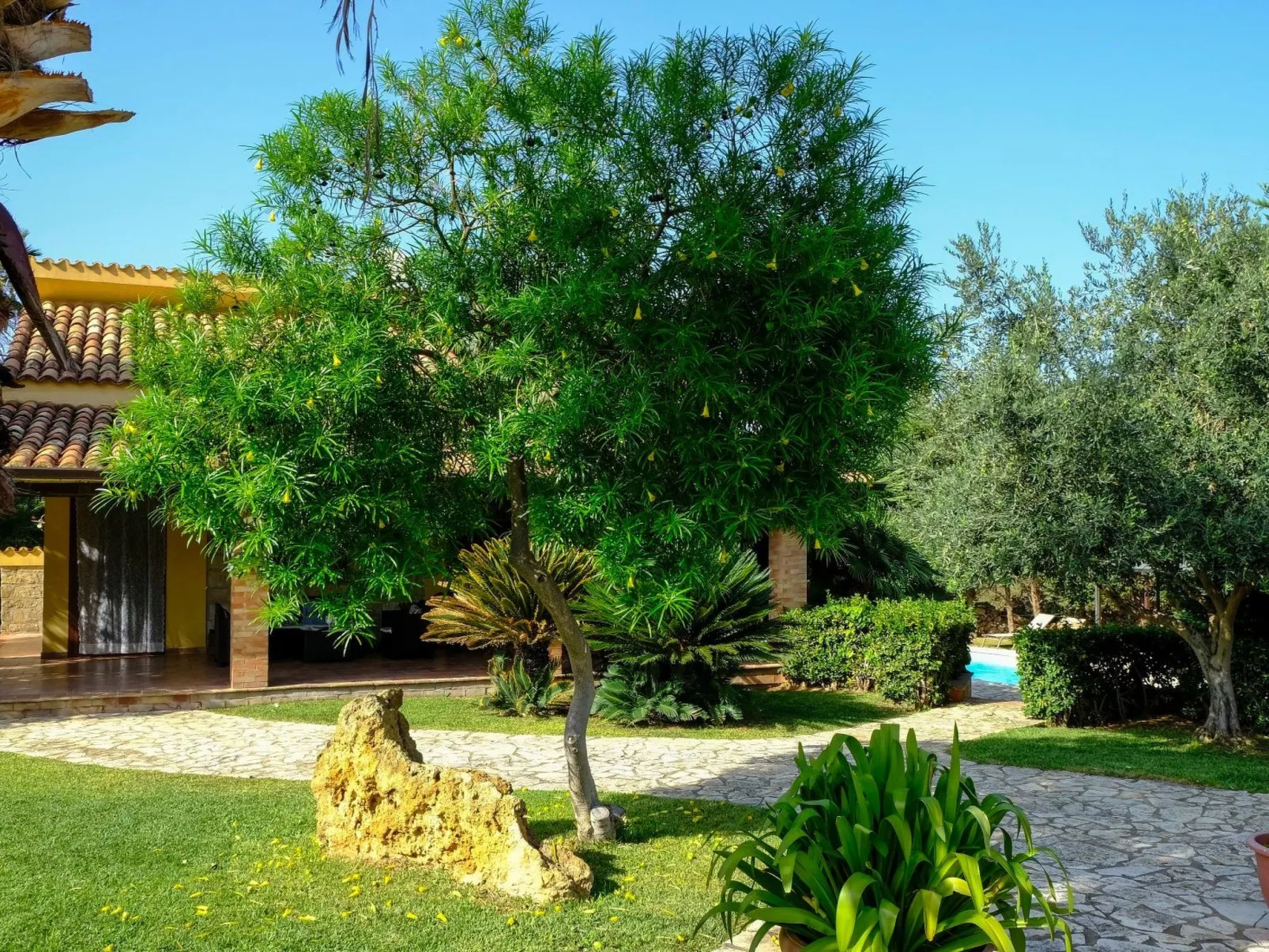 "Carta Fashion" mit eigenem Pool-Image-tags.info