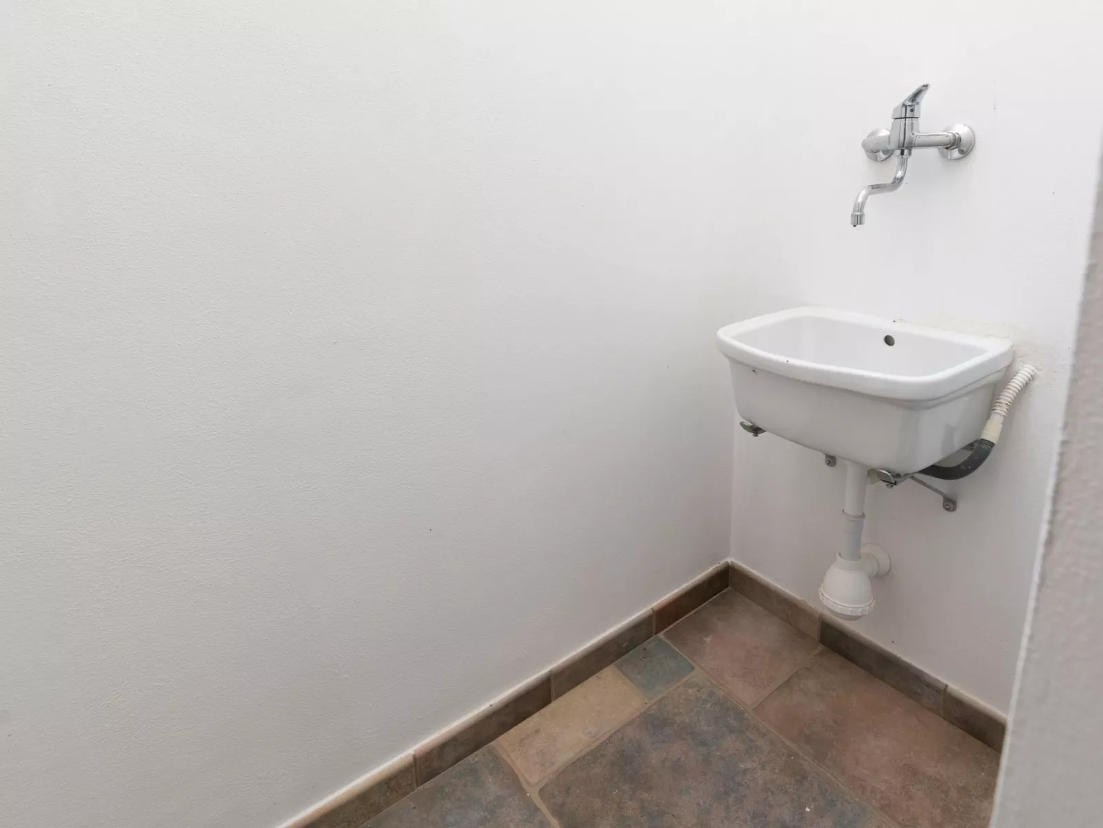 Der Meerblick von Viola-Image-tags.info