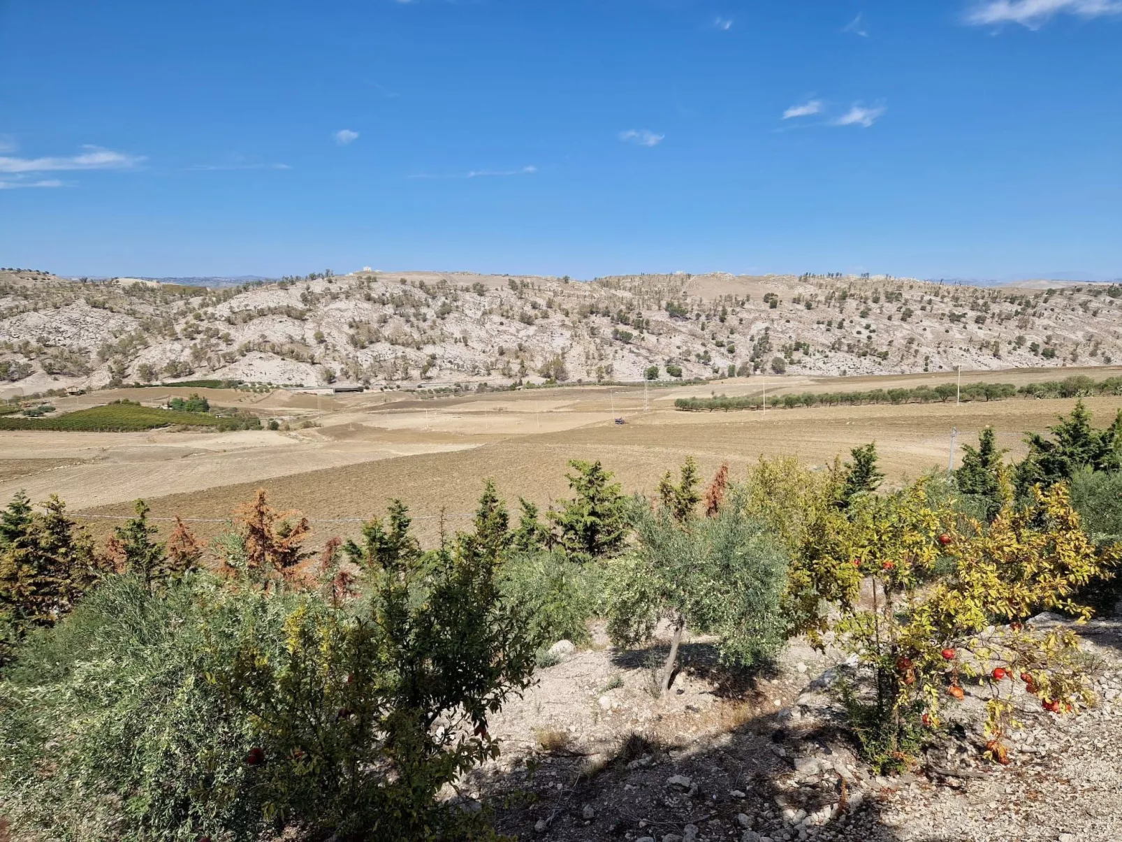 Villa Veranda Panoramica von Holiday World-Image-tags.info