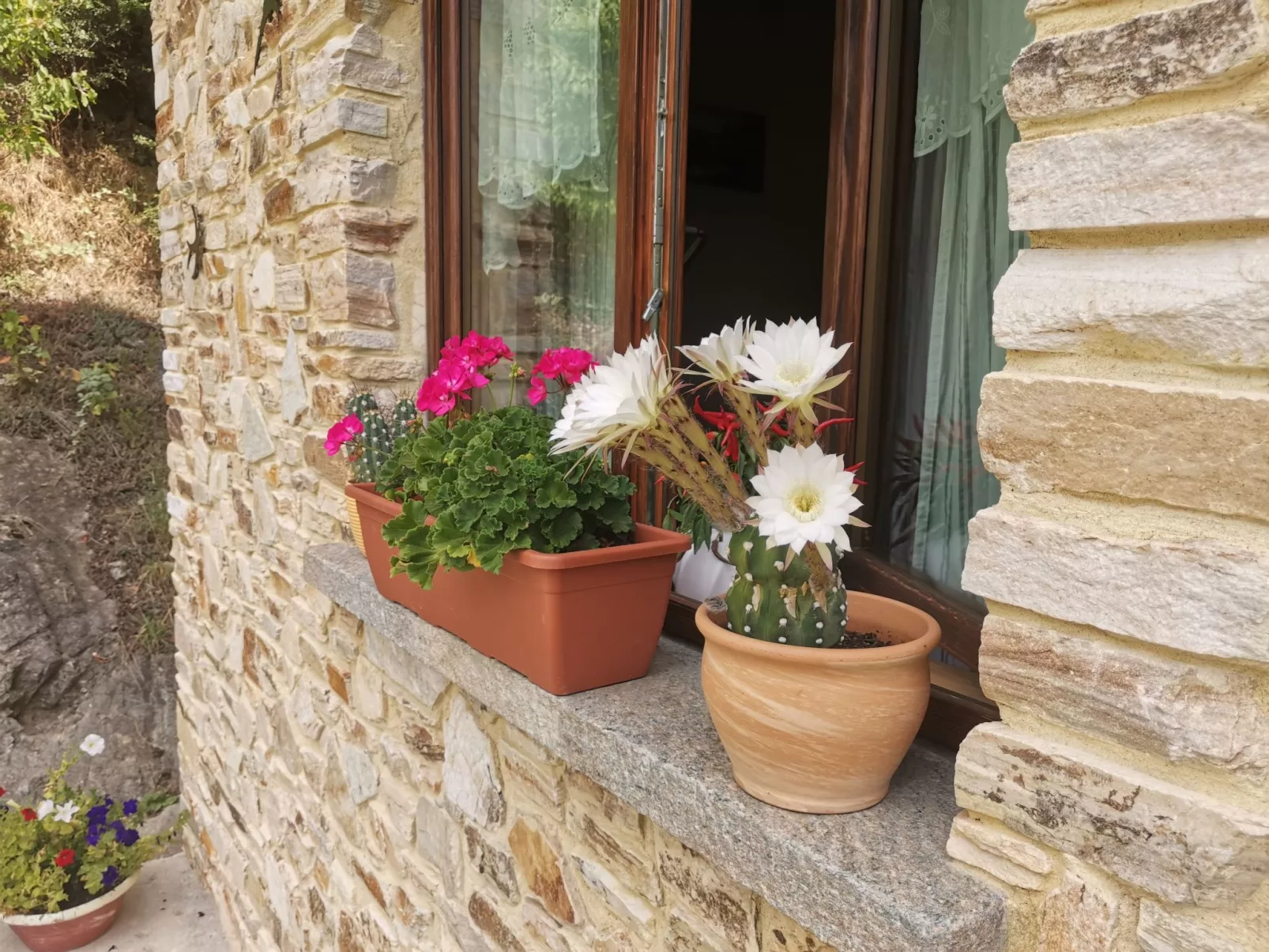 Casa Bella Vista-Dehors