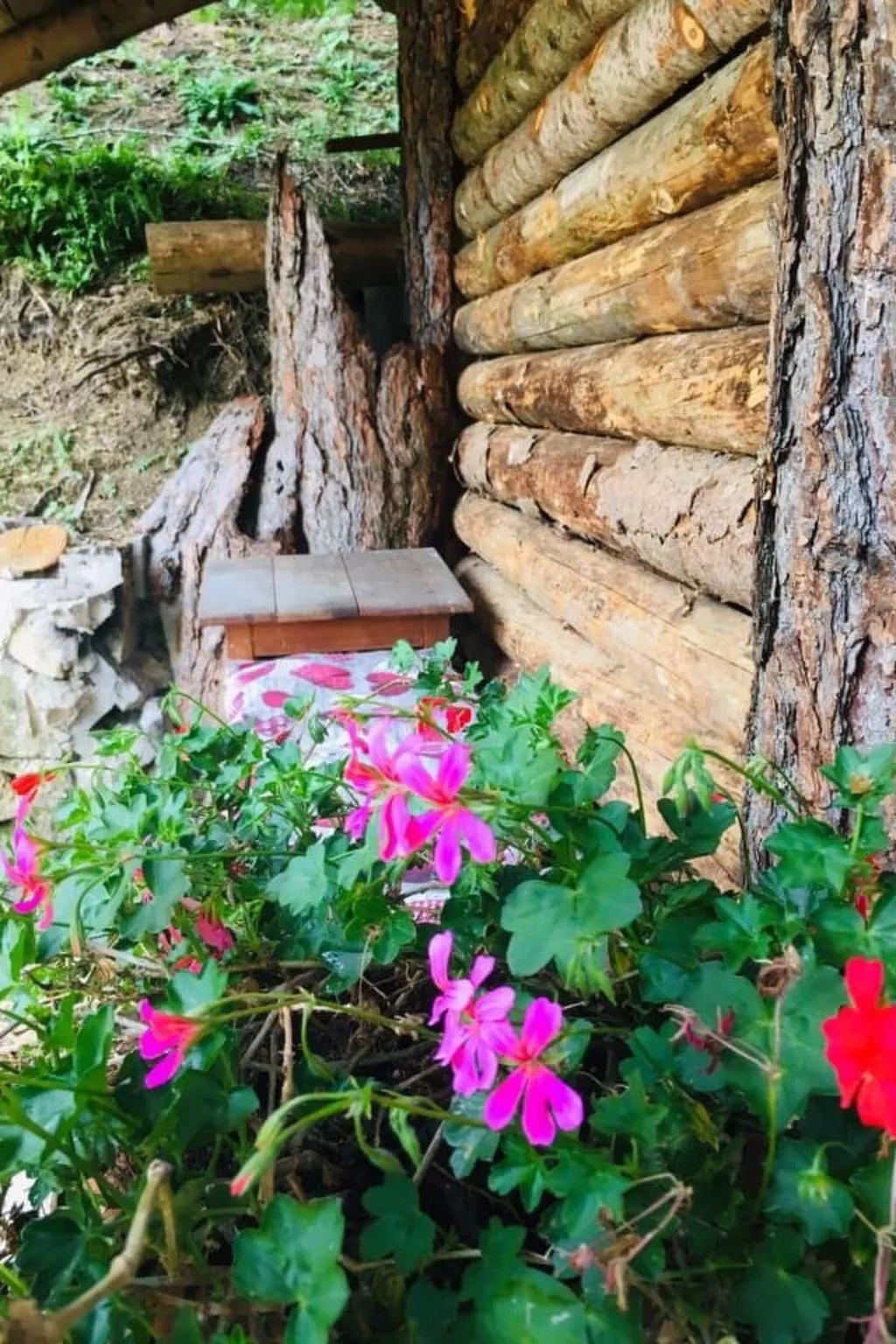 Mit Sauna in Pieve Di Bono-Outside