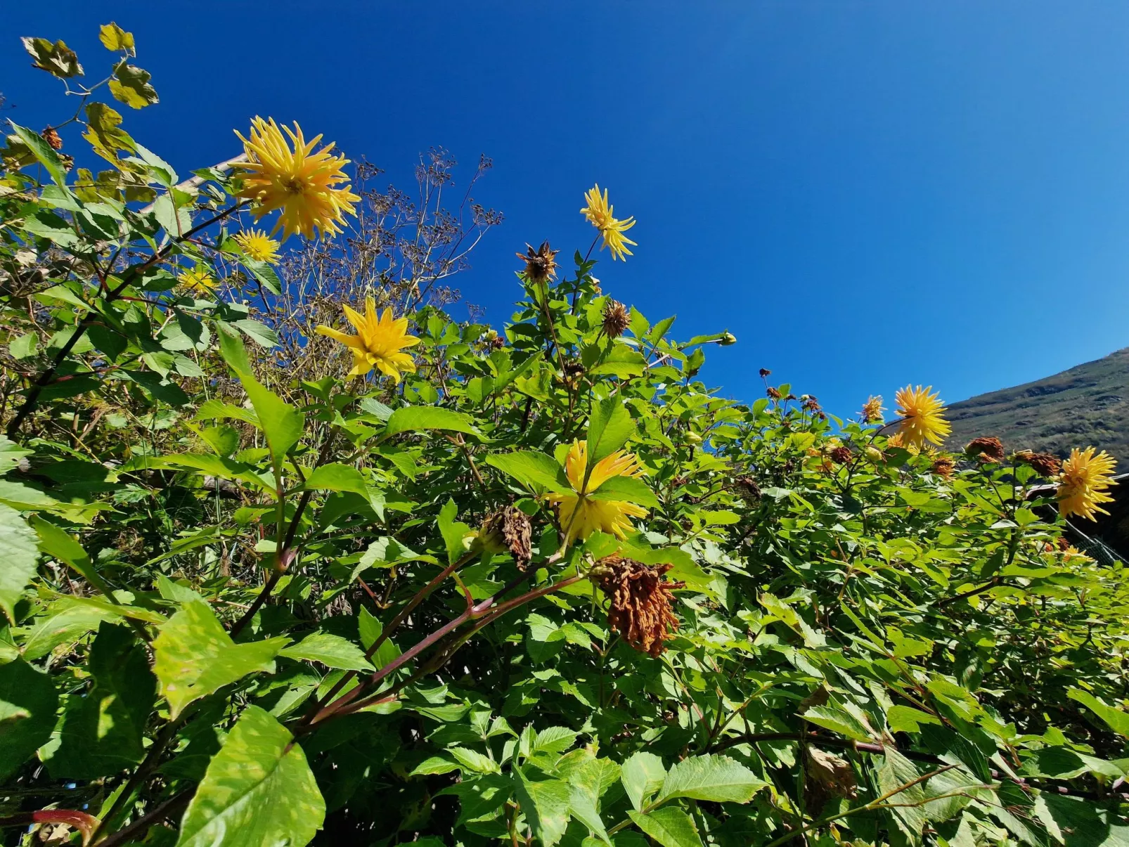 Casa Piccola-Draußen