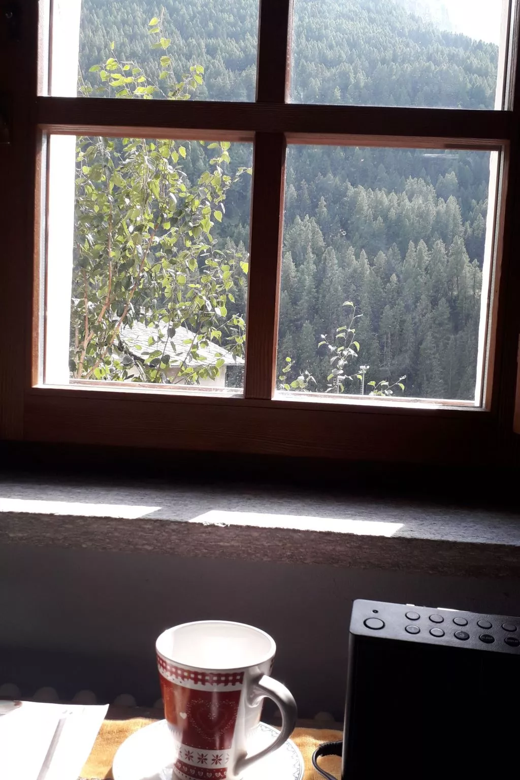 Mit Bergblick-Draußen