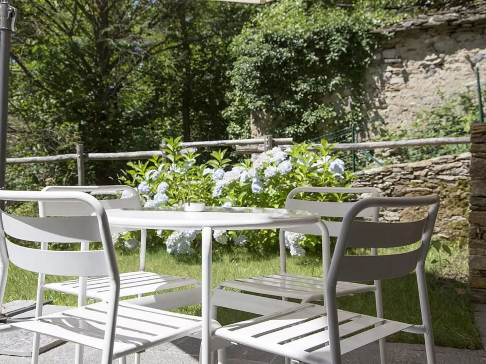 Lampone in San Bernardino Verbano-Image-tags.info