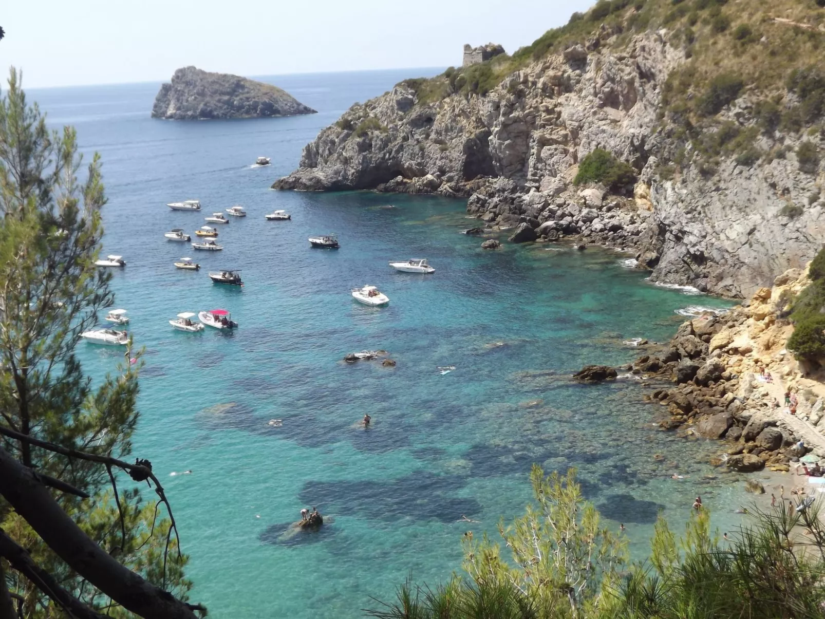 Der Birnbaum-Outside