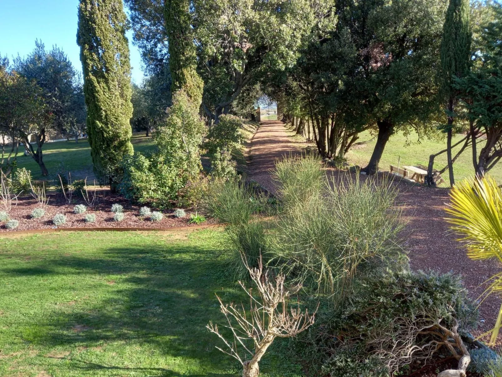 'Riparossa' mit Pool-Image-tags.info