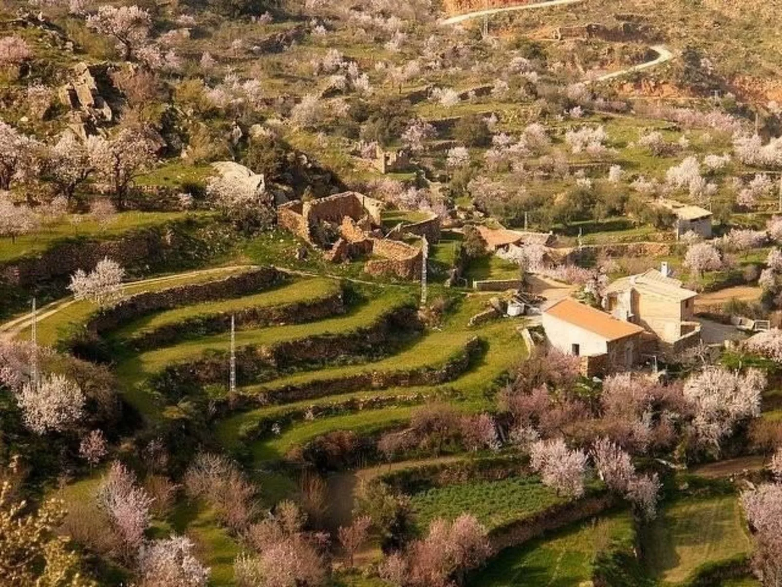 Ländliches Haus El Tenguerengue-Image-tags.info