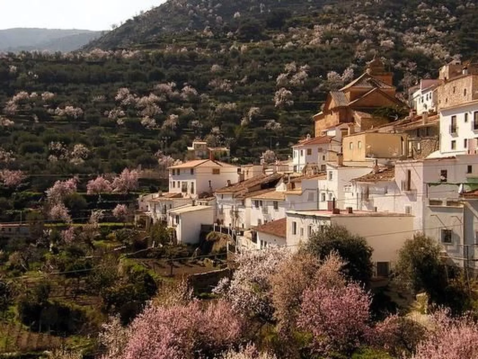 Tenguerengue-Image-tags.info