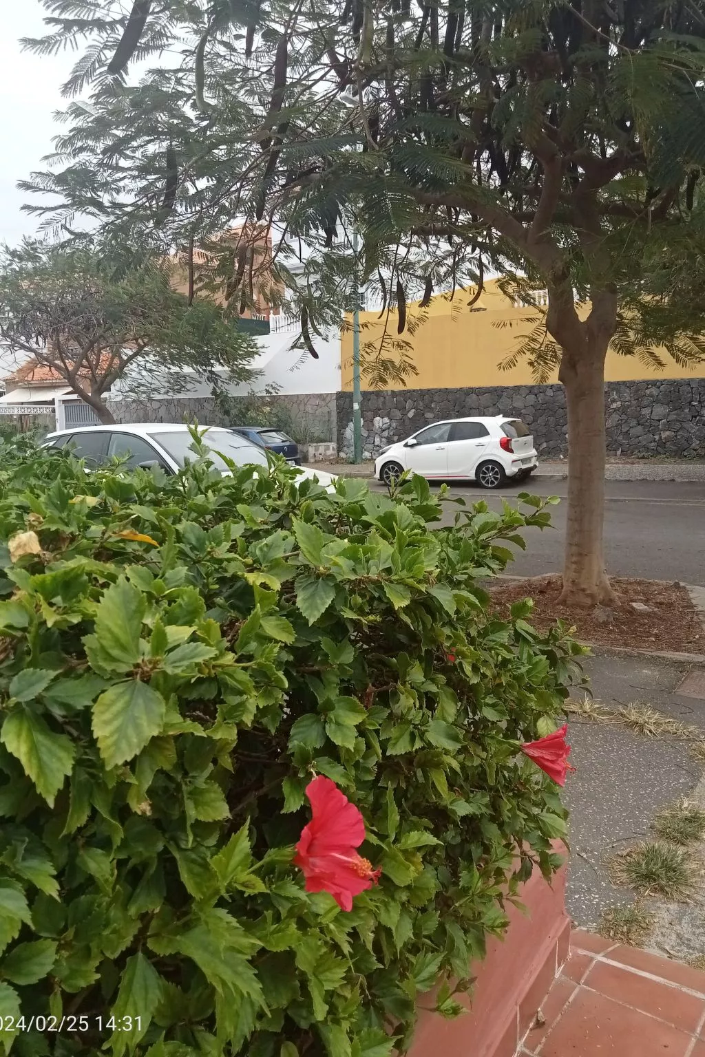 Beatifull apto Meerblick Playa Jardin wiffi-Outside