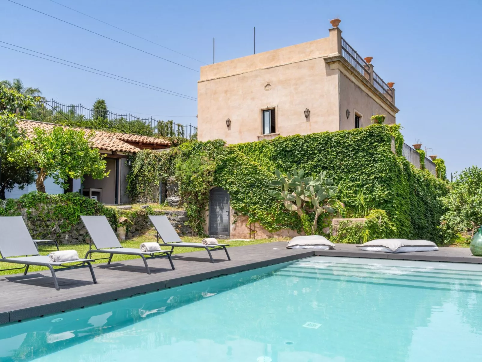 Avocado Garten-Image-tags.info