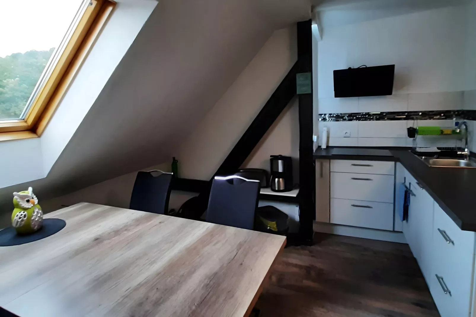 Ferienwohnug an der Saale-Kitchen