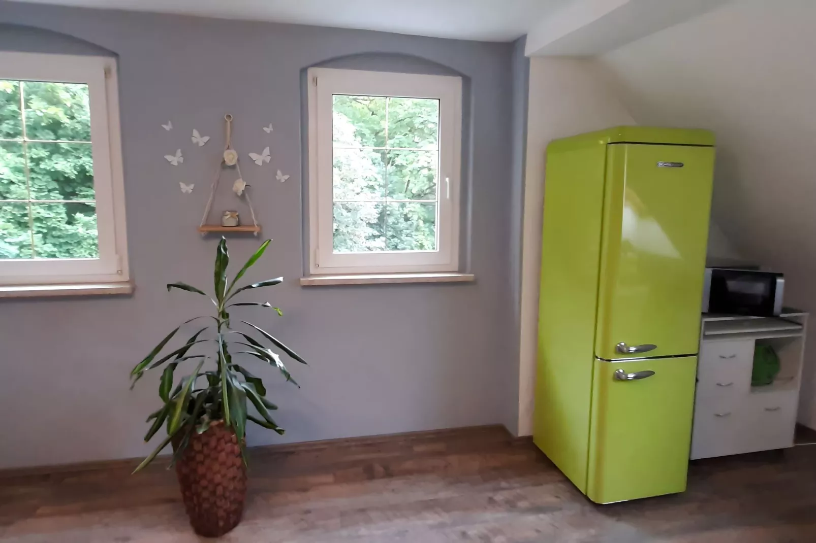 Ferienwohnug an der Saale-Kitchen