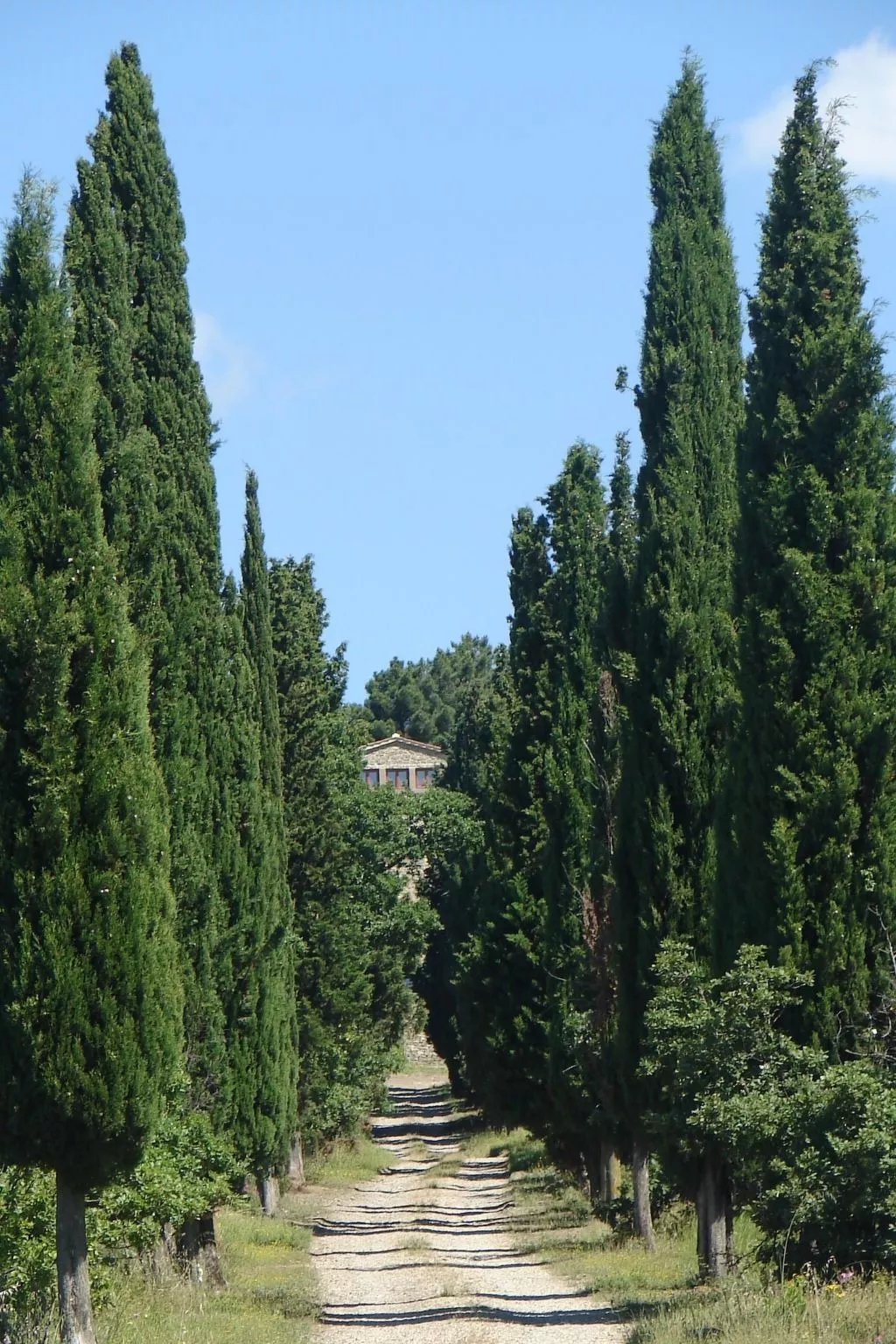 'La Torre' mit Terrasse-Image-tags.info