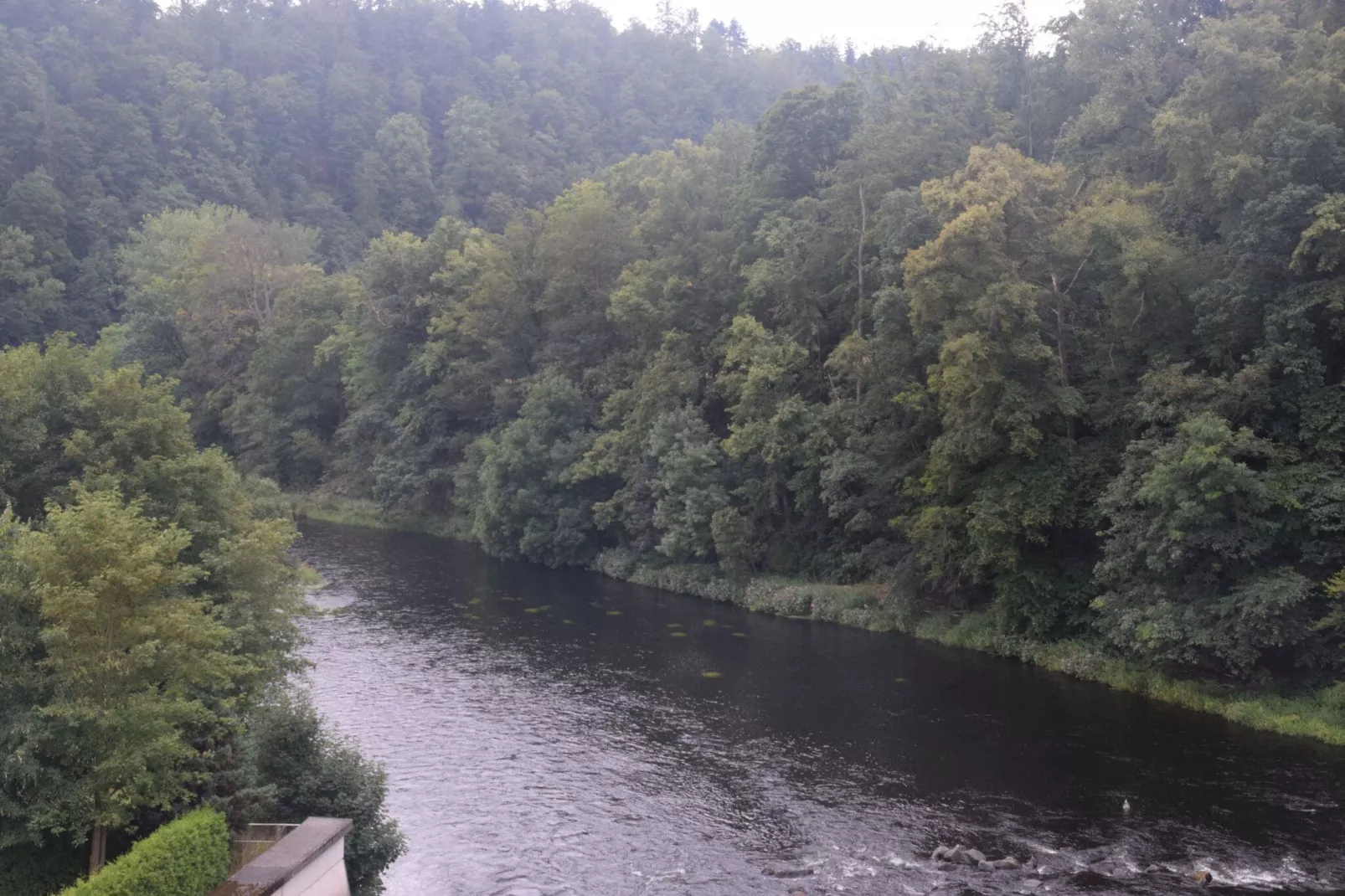Ferienwohnug an der Saale-Areas summer 1km