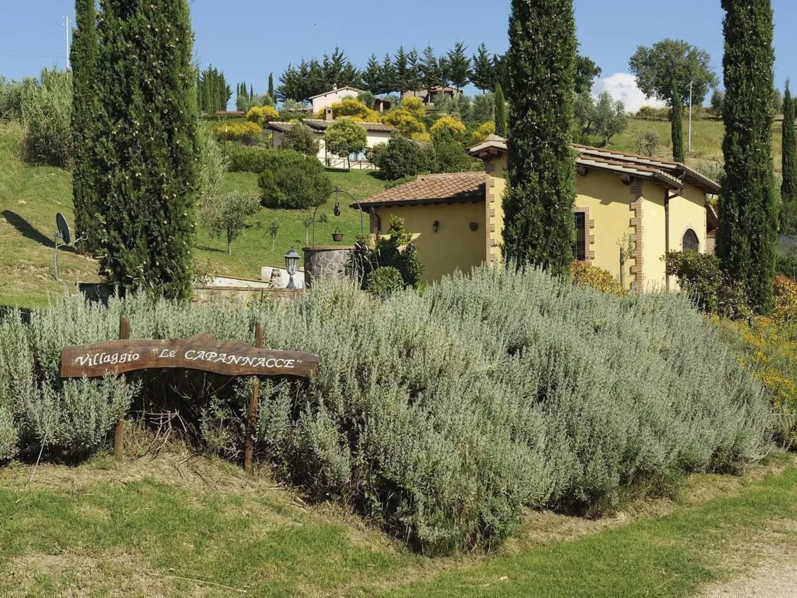 Vierblättriges Kleeblatt-Outside