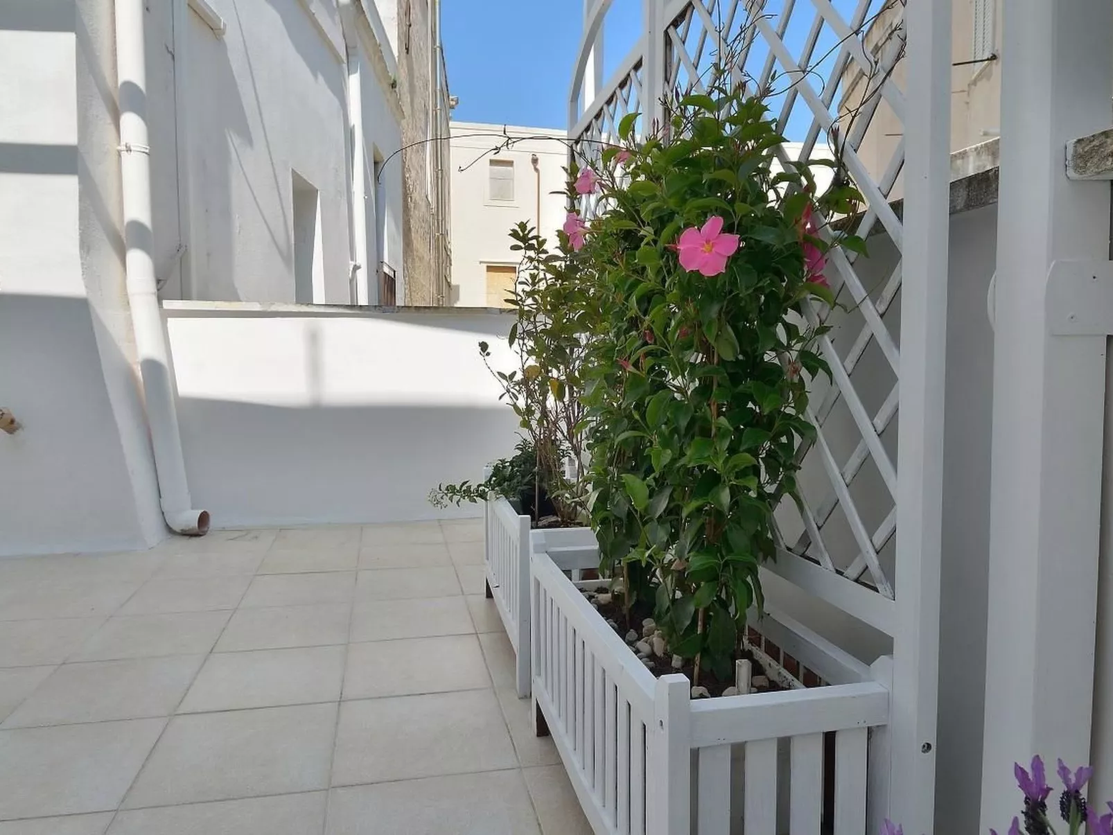 Dimora Libeccio - Haus im historischen Zentrum, nur wenige Schritte vom Meer en-Outside