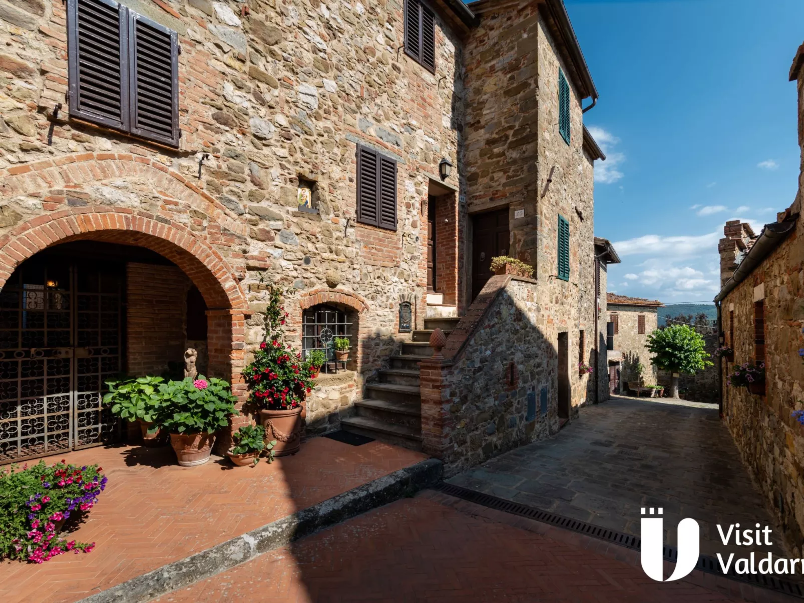 Flache Kornblume-Draußen