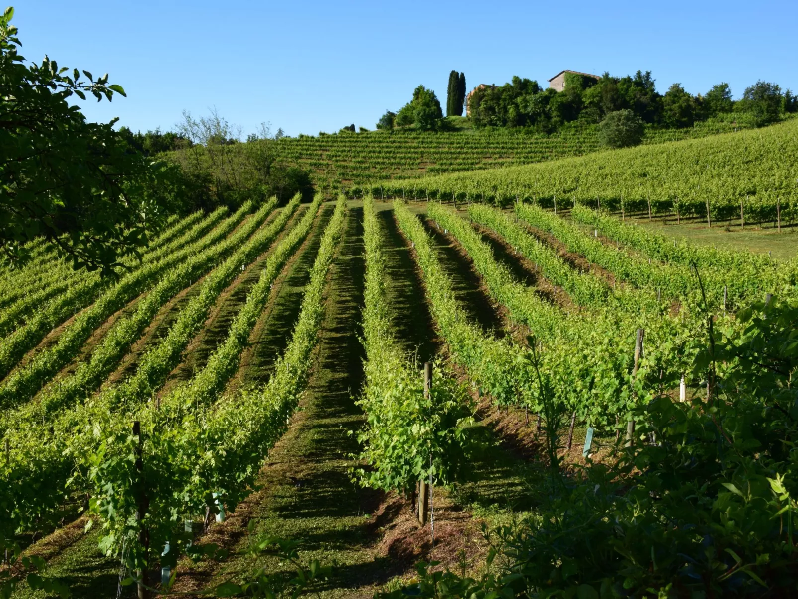 Anwesen mit Gemeinschaftspool-Outside