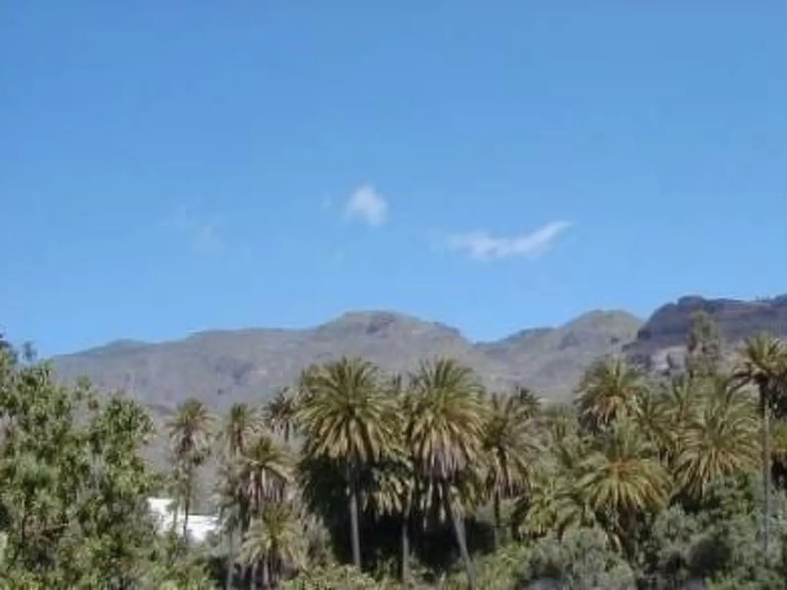 Schönes Steinhaus El Palmeral del Valle-Outside