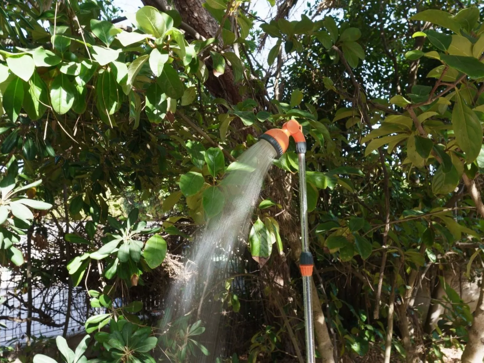 'Villa Nami' in Strandnähe-Dehors