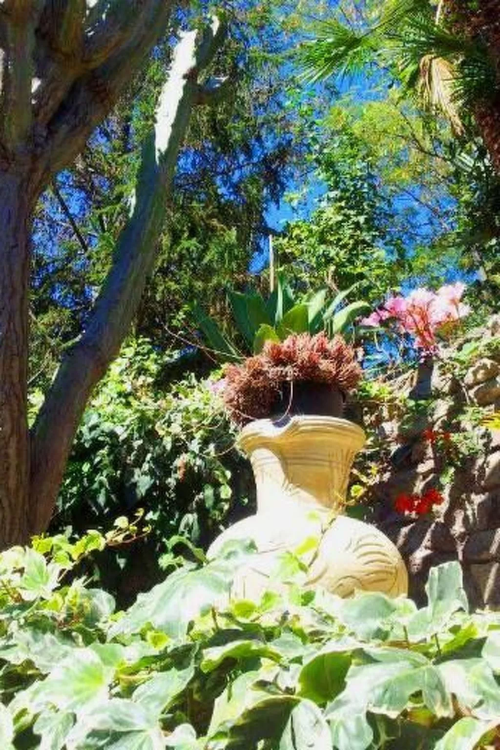 Hibiskus-Image-tags.info