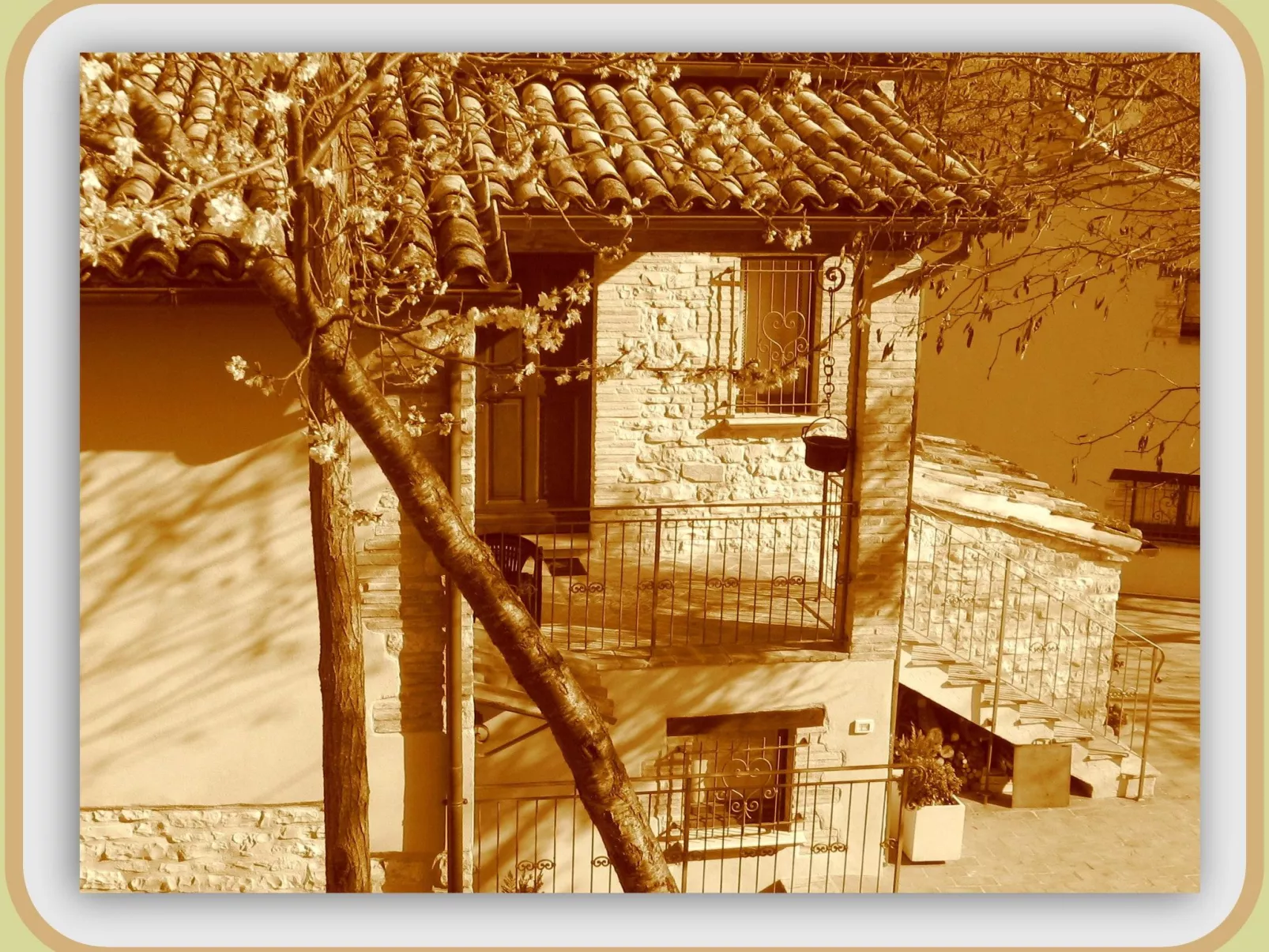 Girasoli in Cagli-Dehors