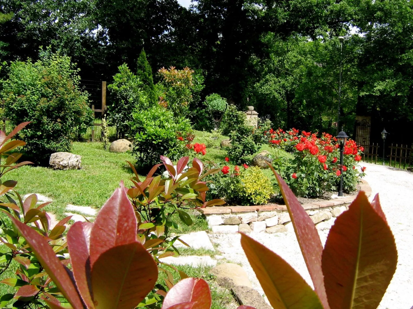 Flacher Flieder-Draußen