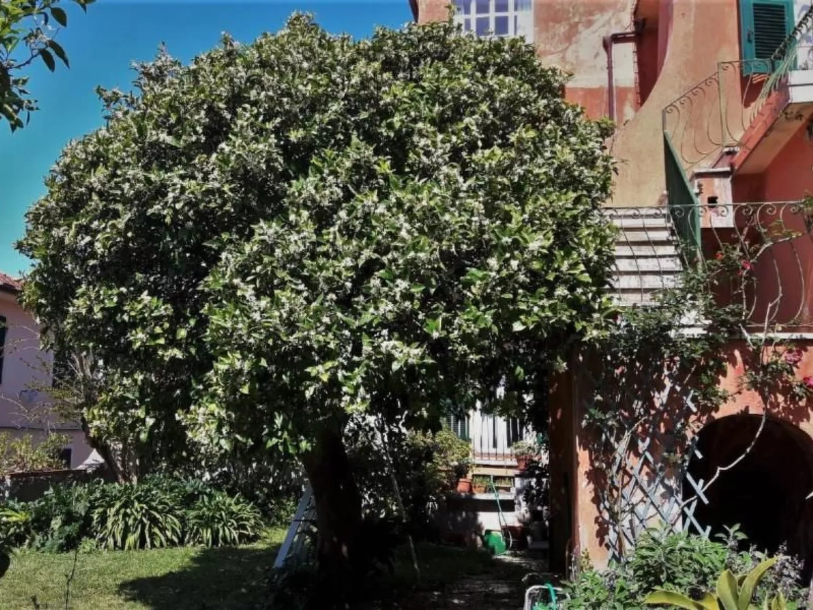 Mit Wasserblick-Outside