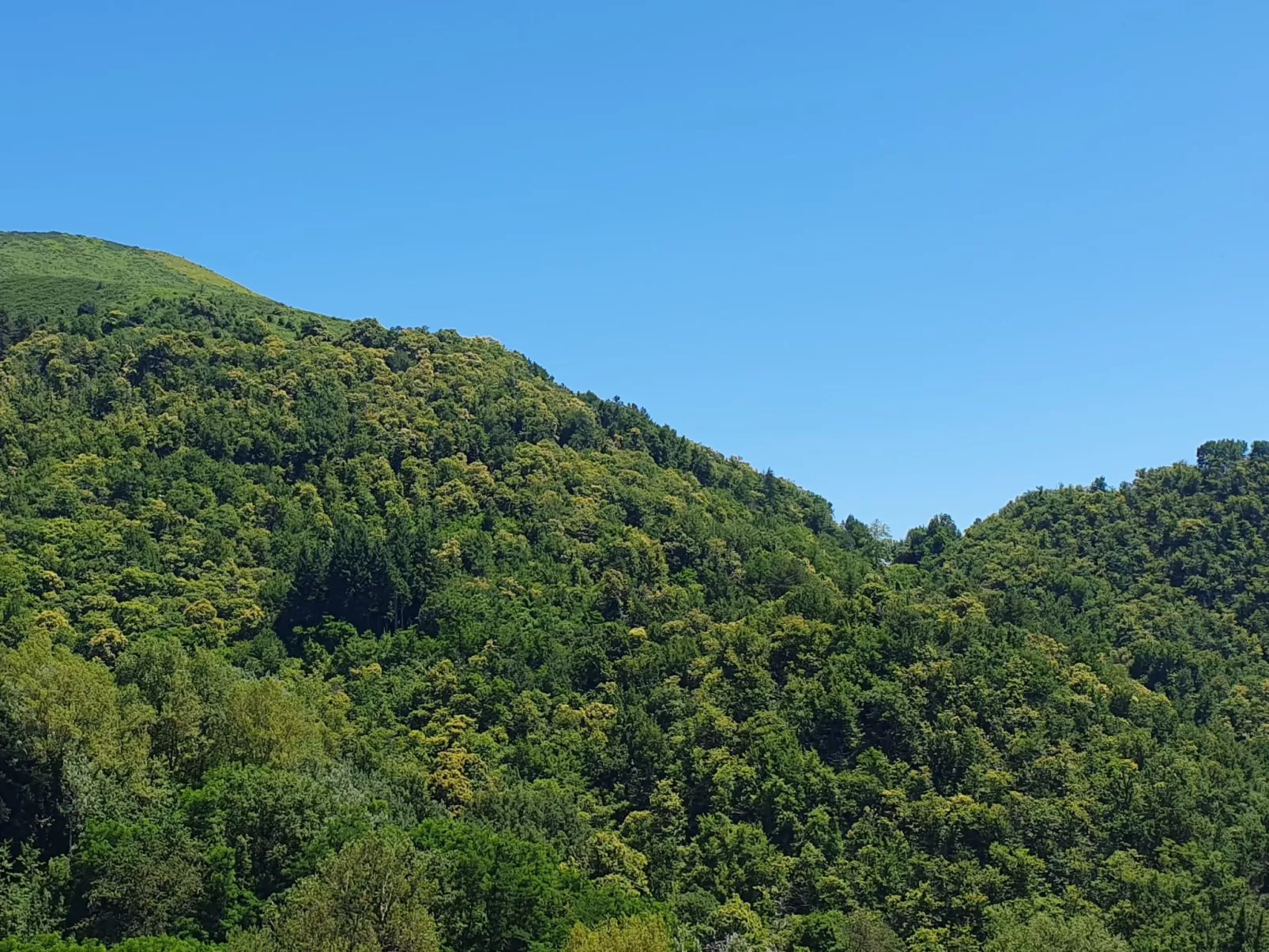 Villa 'Monticello' mit eigenem Pool-Draußen